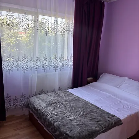 Cristo Y Maria コンスタンツァ